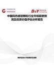 中国风热感冒颗粒行业市场前景预测及投资价值评估分析报告