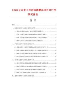 2026及未來5年砂鍋陶餐具項目可行性研究報告