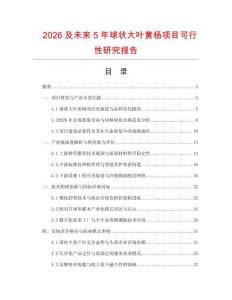 2026及未来5年球状大叶黄杨项目可行性研究报告
