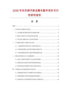 2026年东风柳汽乘龙整车配件项目可行性研究报告