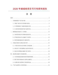 2026年細絨線項目可行性研究報告