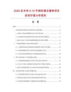 2026及未來5-10年俯臥撐支撐架項目投資價值分析報告