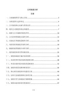 公司制度分析