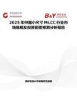 2025年中國小尺寸MLCC行業(yè)市場規(guī)模及投資前景預(yù)測分析報(bào)告