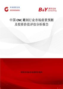 中国CNC雕刻行业市场前景预测及投资价值评估分析报告