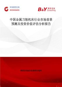 中國金屬刀削機床行業市場前景預測及投資價值評估分析報告