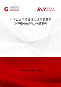 中國金屬型模行業市場前景預測及投資價值評估分析報告