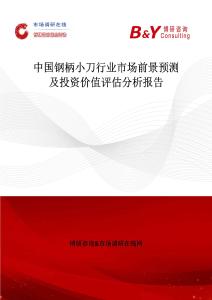 中国钢柄小刀行业市场前景预测及投资价值评估分析报告