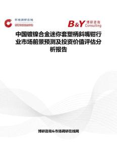 中國鍍鎳合金迷你套塑柄斜嘴鉗行業市場前景預測及投資價值評估分析報告