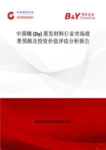 中國鏑 (Dy) 蒸發材料行業市場前景預測及投資價值評估分析報告