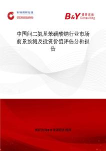 中國間二氨基苯磺酸鈉行業(yè)市場前景預測及投資價值評估分析報告