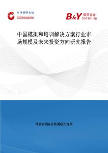 中國模擬和培訓解決方案行業市場規模及未來投資方向研究報告