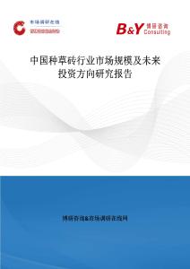 中国种草砖行业市场规模及未来投资方向研究报告