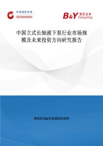 中國立式長軸液下泵行業市場規模及未來投資方向研究報告