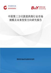 中國第三方付款提供商行業(yè)市場規(guī)模及未來投資方向研究報告