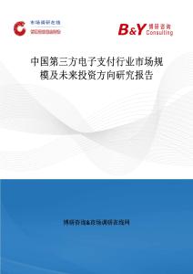 中國第三方電子支付行業市場規模及未來投資方向研究報告
