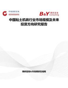 中国粘土机砖行业市场规模及未来投资方向研究报告