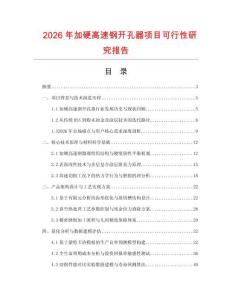 2026年加硬高速鋼開孔器項目可行性研究報告