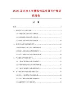 2026及未來5年搪膠飾品項目可行性研究報告