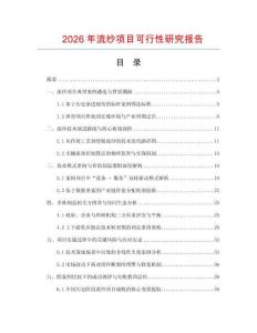 2026年流紗項目可行性研究報告
