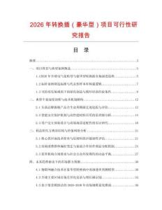 2026年轉(zhuǎn)換插（豪華型）項目可行性研究報告
