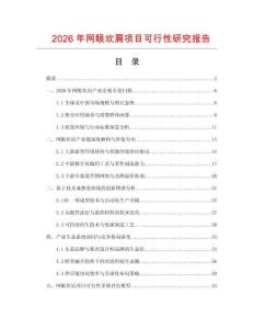 2026年網(wǎng)眼坎肩項(xiàng)目可行性研究報(bào)告