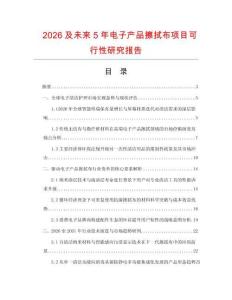 2026及未來5年電子產(chǎn)品擦拭布項目可行性研究報告