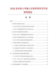 2026及未来5年嵌入式单炉项目可行性研究报告