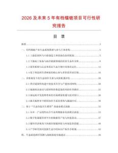 2026及未來5年有檔錨鏈項目可行性研究報告