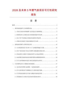 2026及未來(lái)5年燃?xì)獗眄?xiàng)目可行性研究報(bào)告