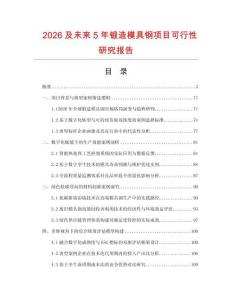 2026及未來5年鍛造模具鋼項目可行性研究報告