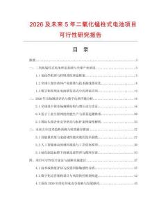2026及未來5年二氧化錳柱式電池項目可行性研究報告