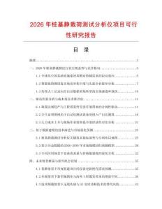 2026年樁基靜栽荷測試分析儀項目可行性研究報告