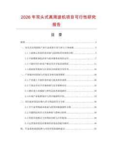2026年雙頭式高周波機項目可行性研究報告