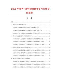 2026年和聲+混響效果器項目可行性研究報告