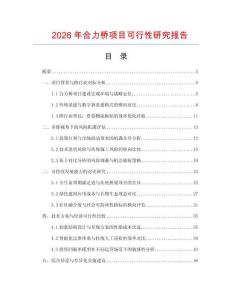 2026年合力桥项目可行性研究报告