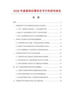 2026年直插珠紋罩項目可行性研究報告