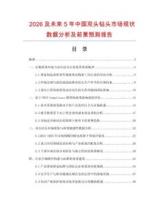 2026及未來5年中國雙頭鉆頭市場現狀數據分析及前景預測報告