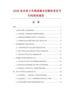 2026及未來5年高速激光切割機項目可行性研究報告