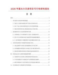 2026年圓光大叉排項(xiàng)目可行性研究報(bào)告