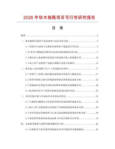 2026年軟木拖鞋項目可行性研究報告