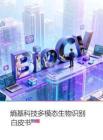 多模態(tài)生物識(shí)別白皮書（2026版）
