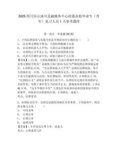 2025四川樂山沐川縣融媒體中心招募高校畢業(yè)生（青年）見習(xí)人員1人參考題庫(kù)含答案詳解（突破訓(xùn)練）