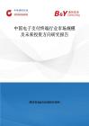 中國電子支付終端行業市場規模及未來投資方向研究報告