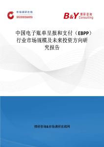 中國電子賬單呈報和支付（EBPP）行業(yè)市場規(guī)模及未來投資方向研究報告
