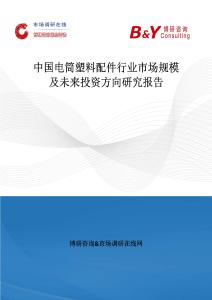 中国电筒塑料配件行业市场规模及未来投资方向研究报告