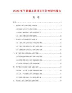 2026年平面截止閥項目可行性研究報告