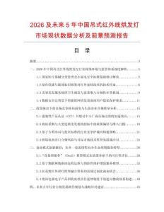 2026及未来5年中国吊式红外线烘发灯市场现状数据分析及前景预测报告