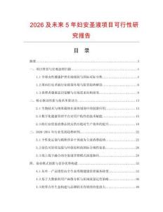 2026及未來5年婦安圣液項目可行性研究報告