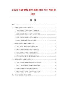 2026年盤管校直切斷機項目可行性研究報告